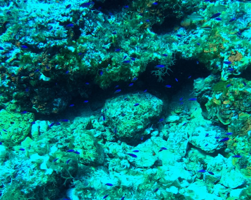 Divesite Image