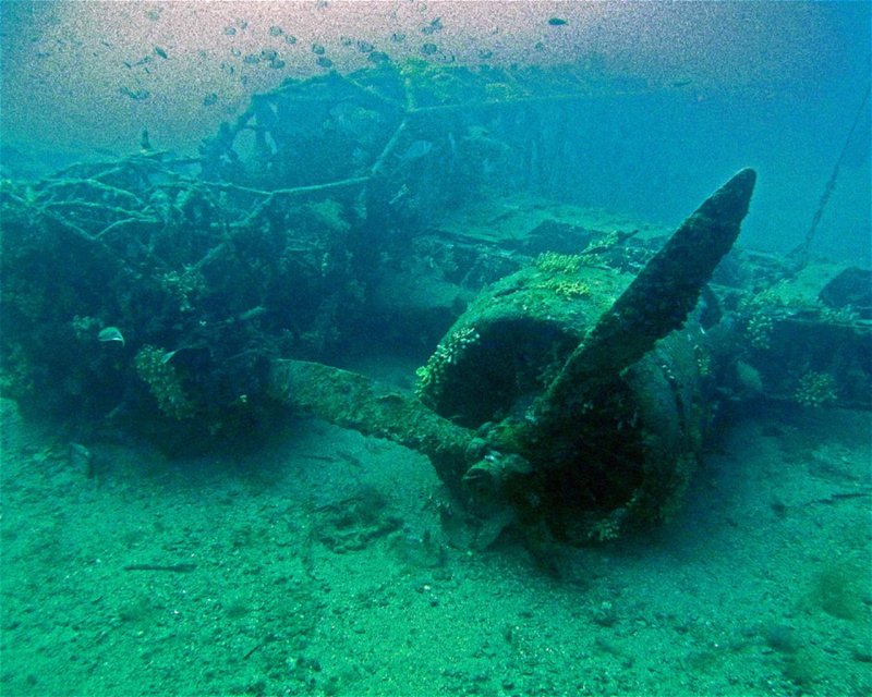 Divesite Image