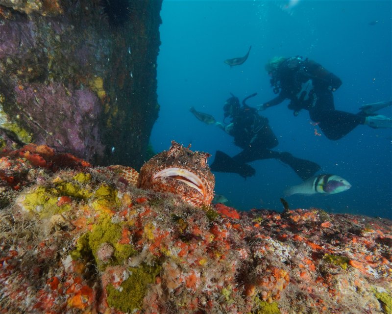 Divesite Image