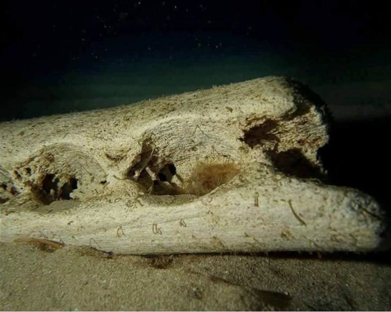 Divesite Image