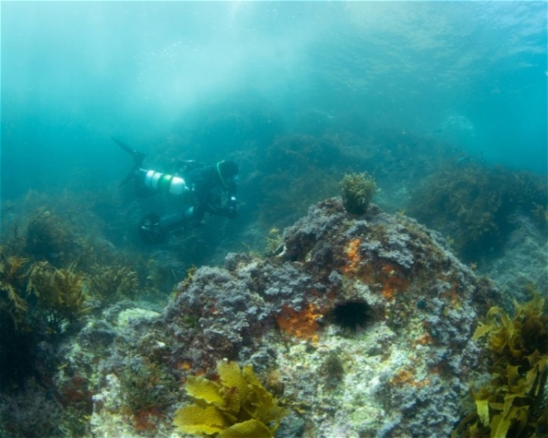 Divesite Image