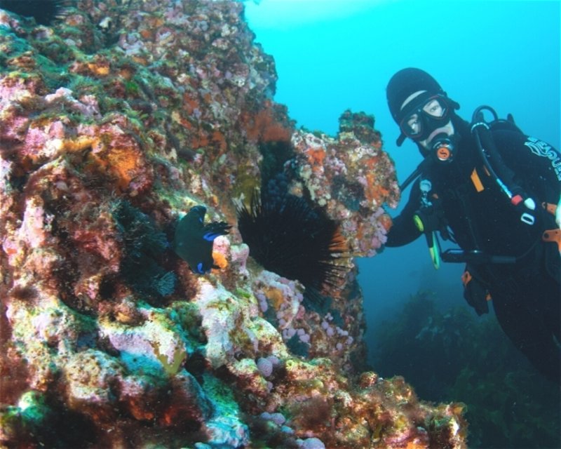Divesite Image
