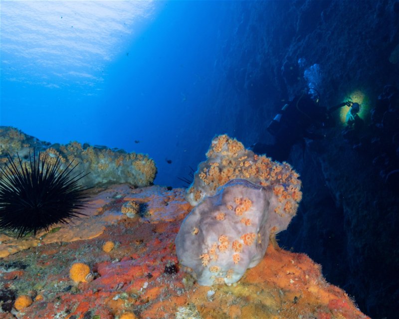 Divesite Image