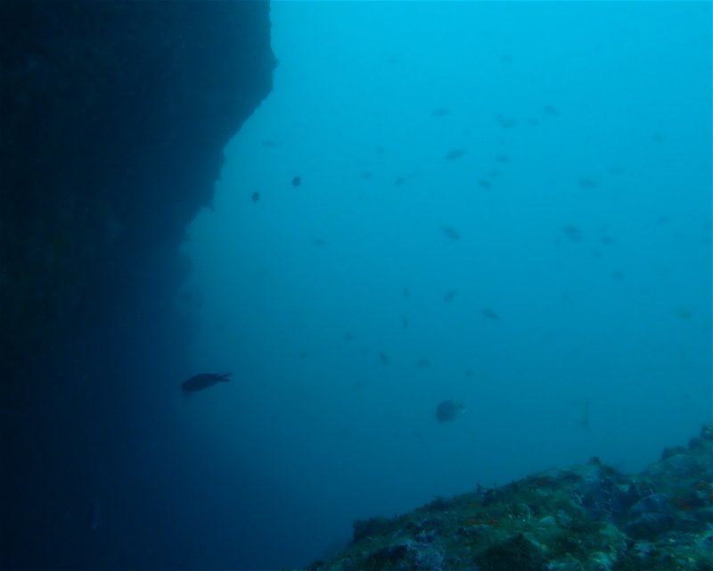 Divesite Image