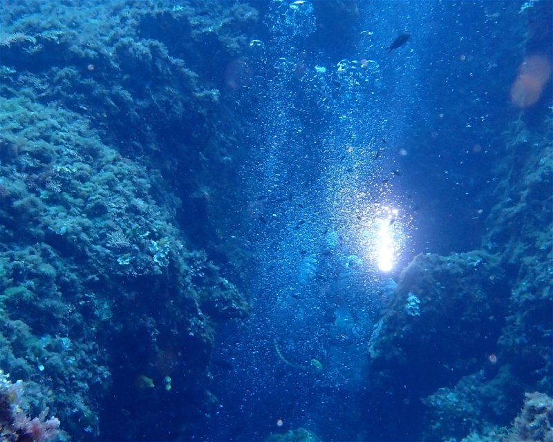 Divesite Image