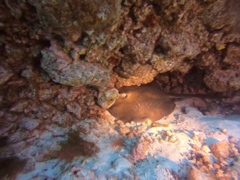Divesite Image