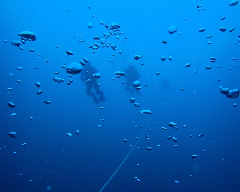 Divesite Image