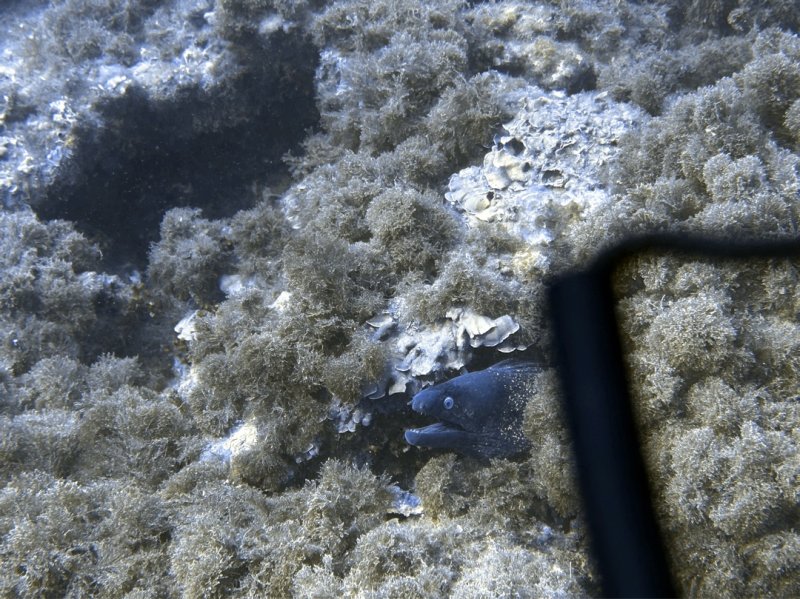 Divesite Image