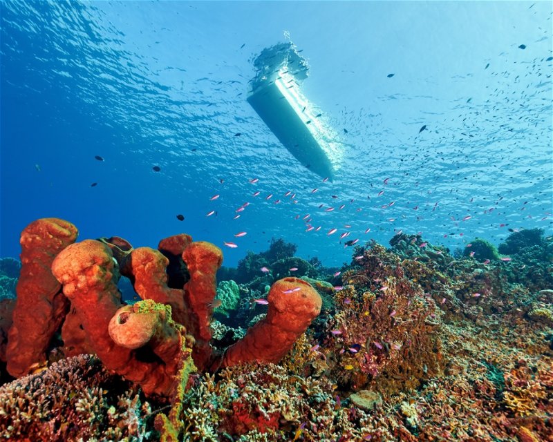Divesite Image