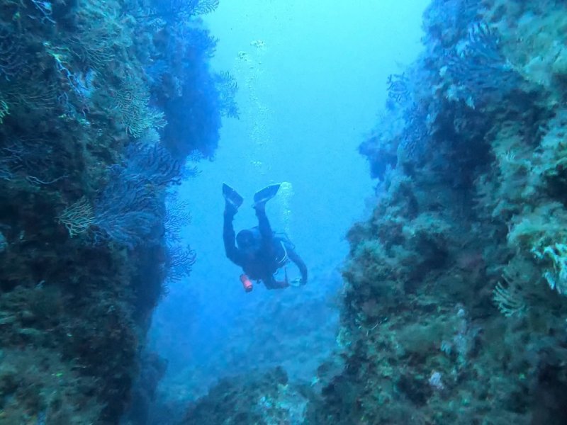 Divesite Image