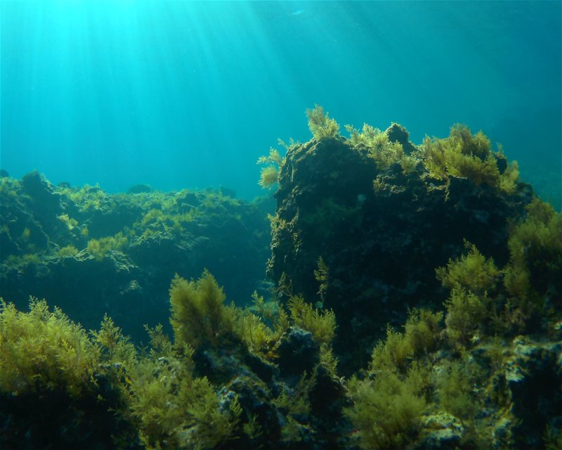 Divesite Image
