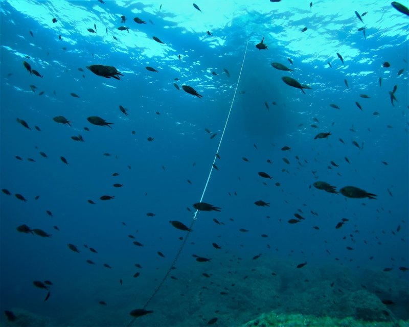 Divesite Image