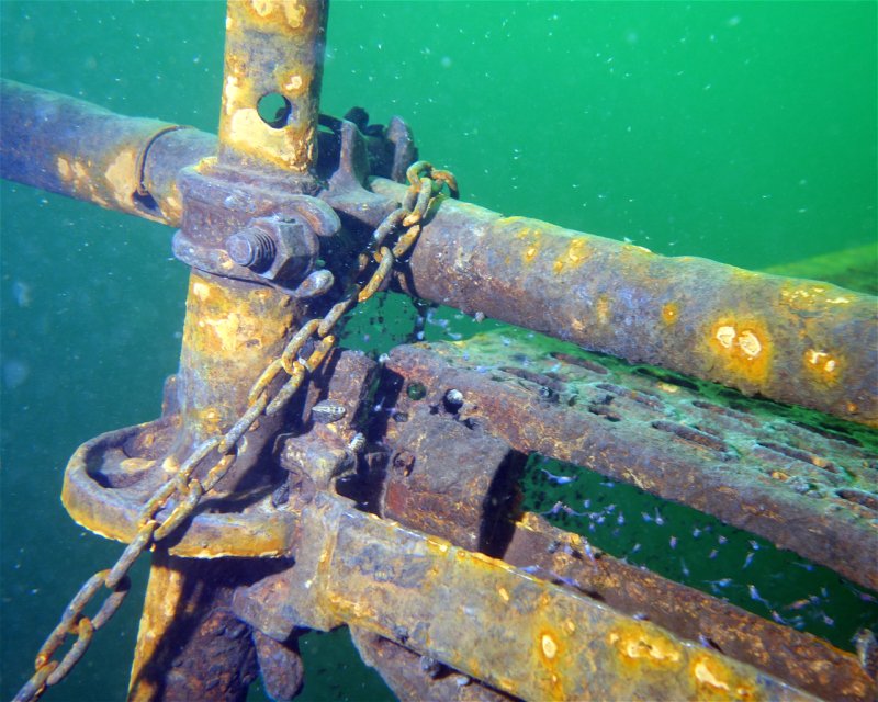 Divesite Image