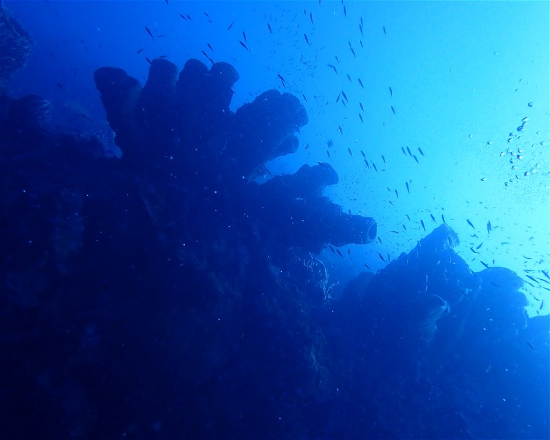 Divesite Image