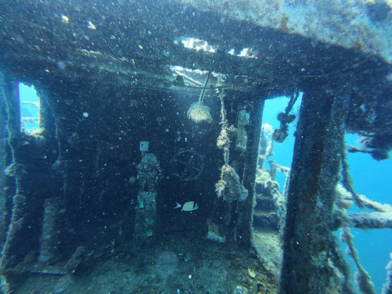 Divesite Image