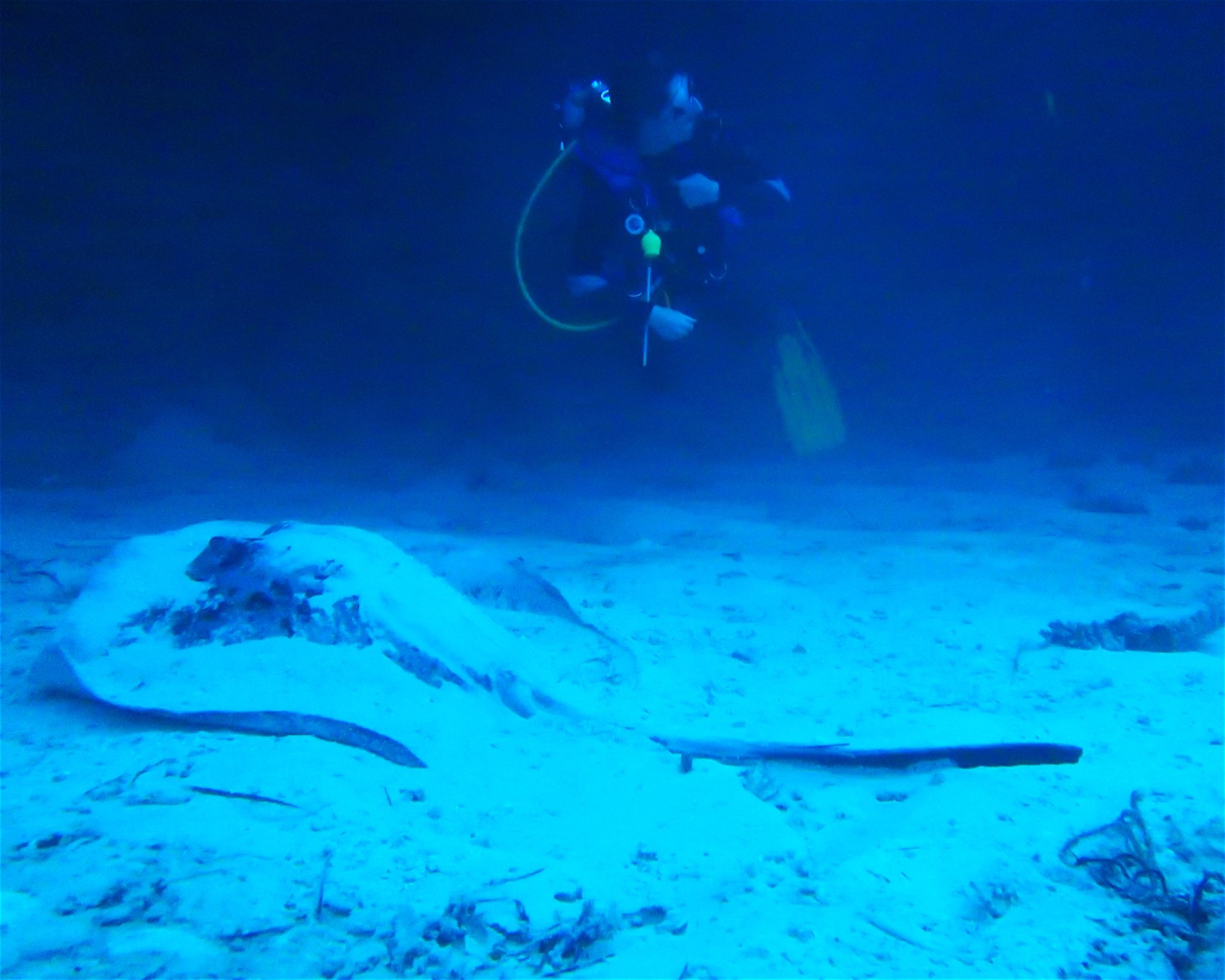 DivePoint Meedhupparu, 960 Meedhupparu