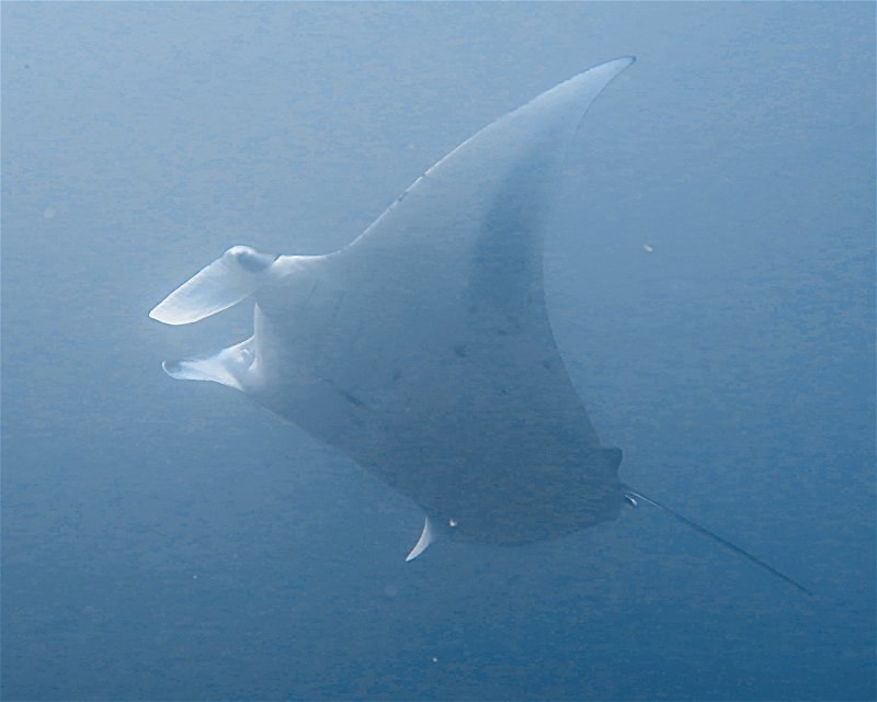 Divesite Image