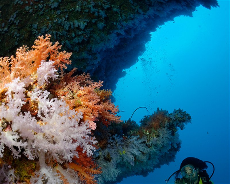 Divesite Image