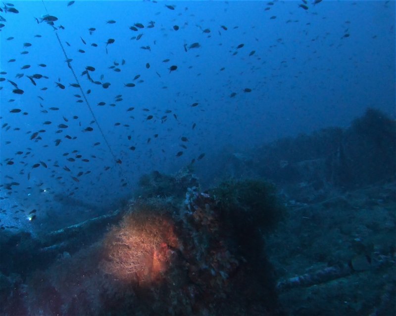 Divesite Image