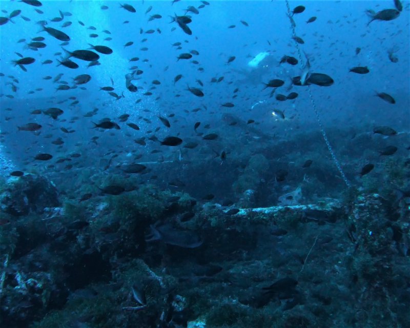 Divesite Image