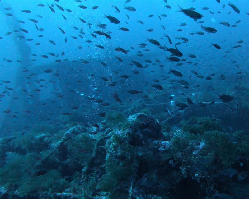Divesite Image