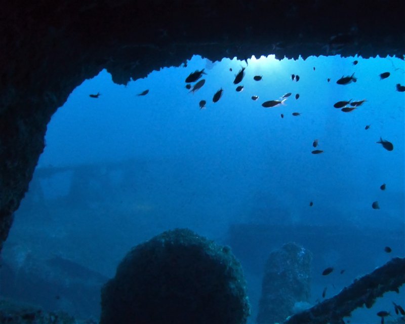 Divesite Image