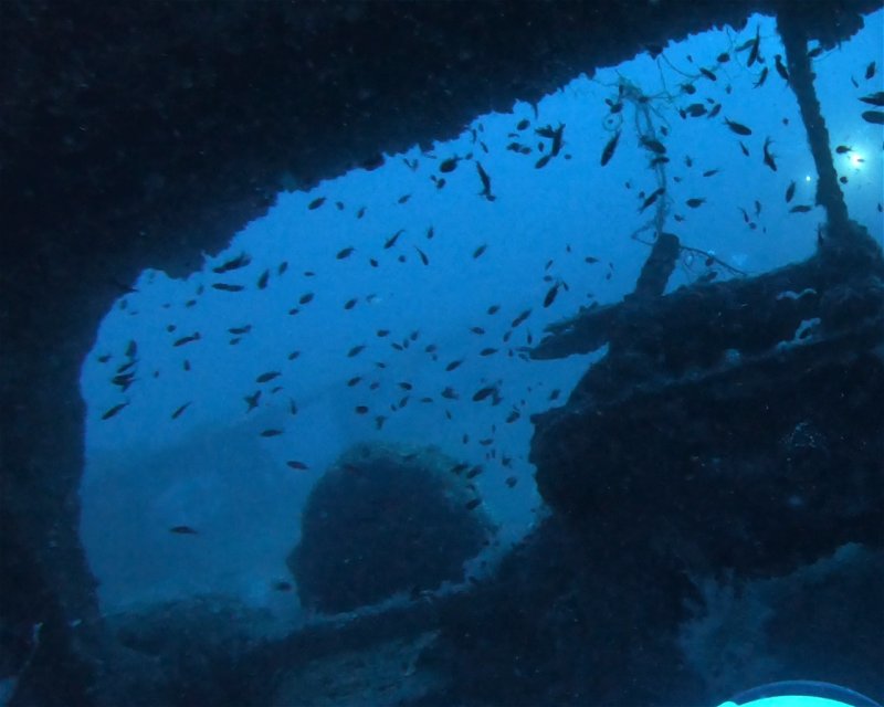 Divesite Image