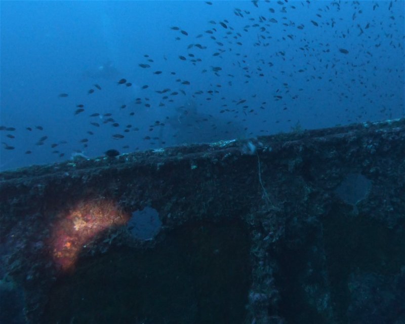 Divesite Image