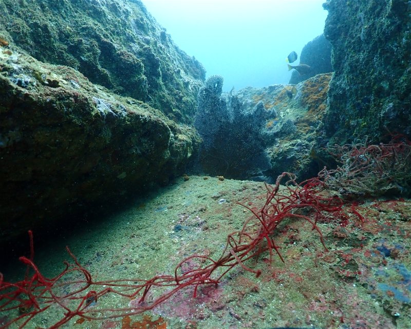 Divesite Image