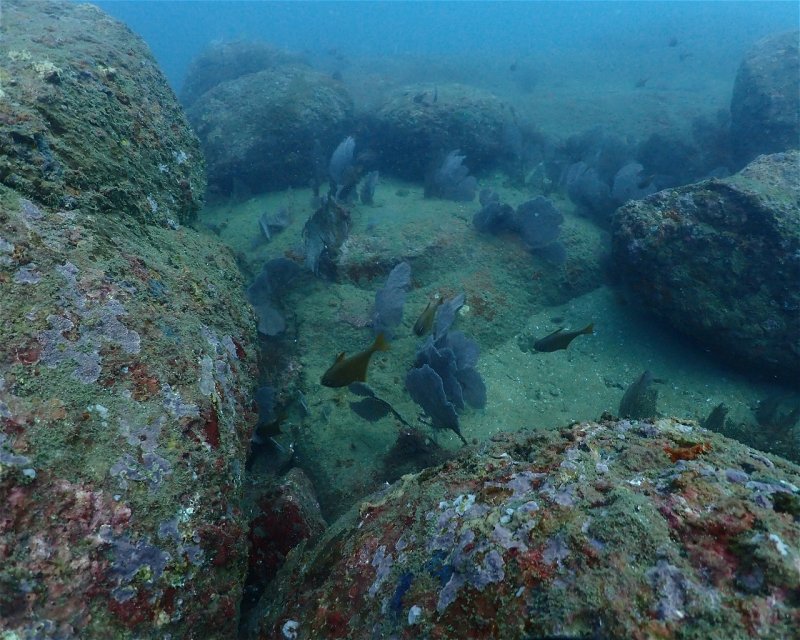 Divesite Image