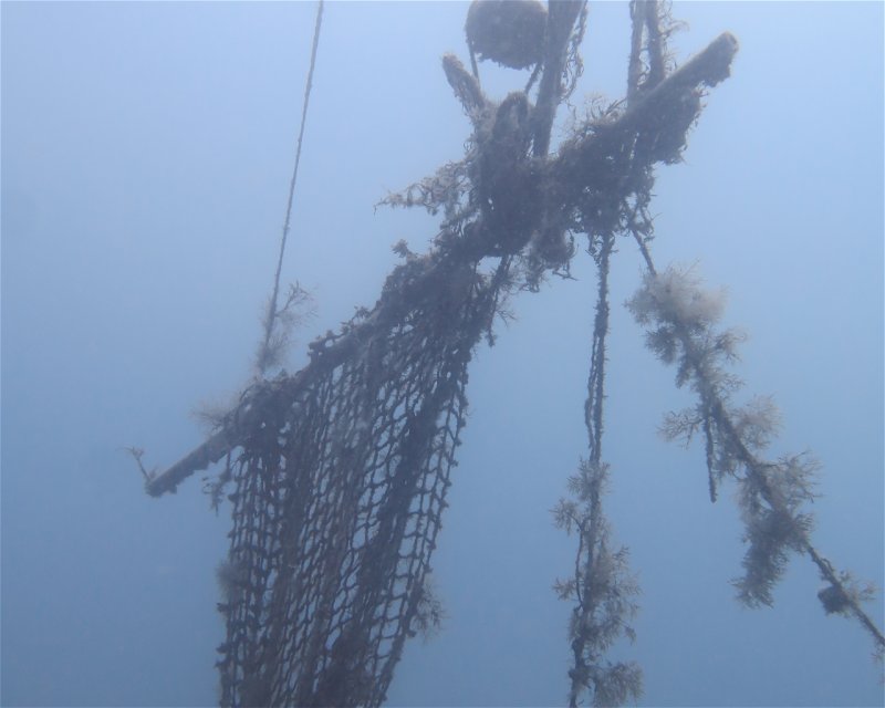 Divesite Image