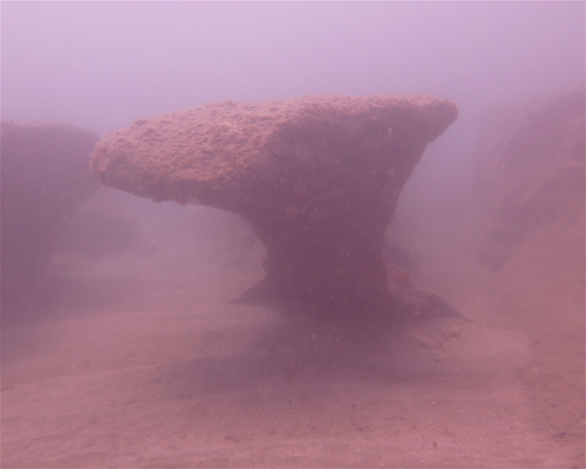 SCUBA SUR, 35120 Arguineguin