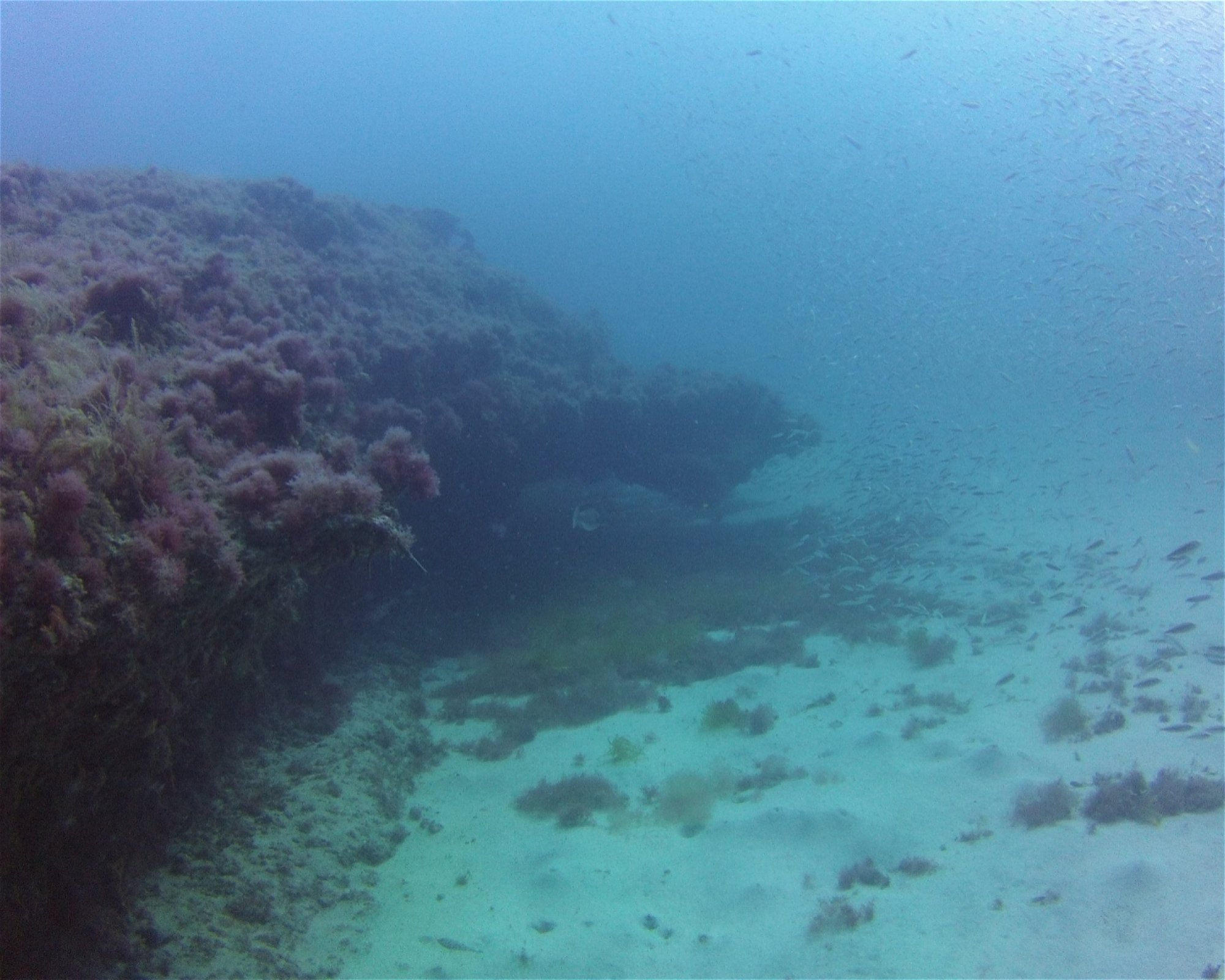 SCUBA SUR, 35120 Arguineguin