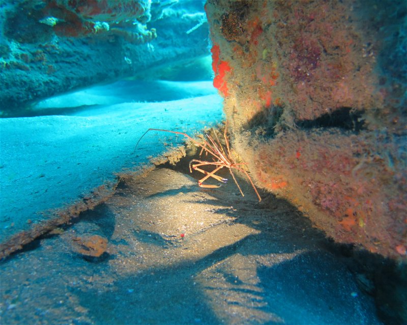 Divesite Image