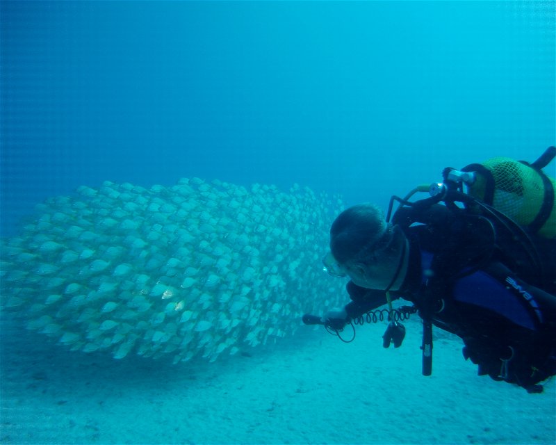 Divesite Image