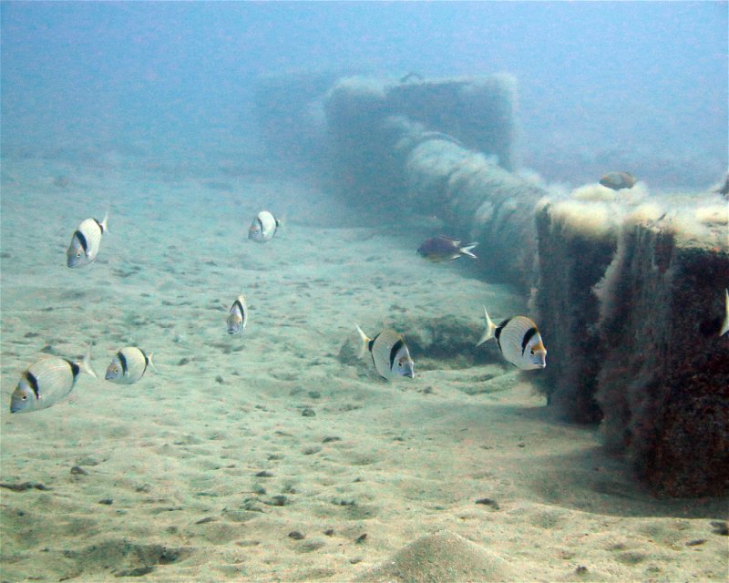 Divesite Image