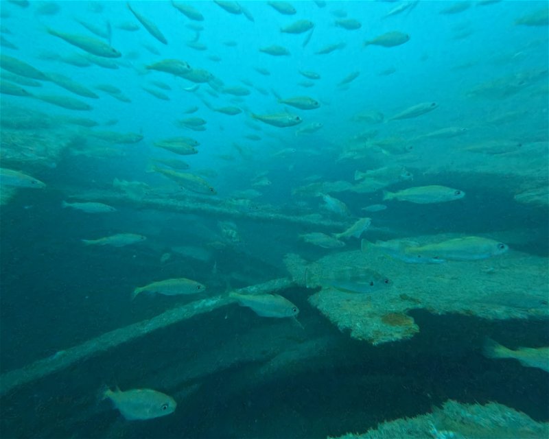 Divesite Image