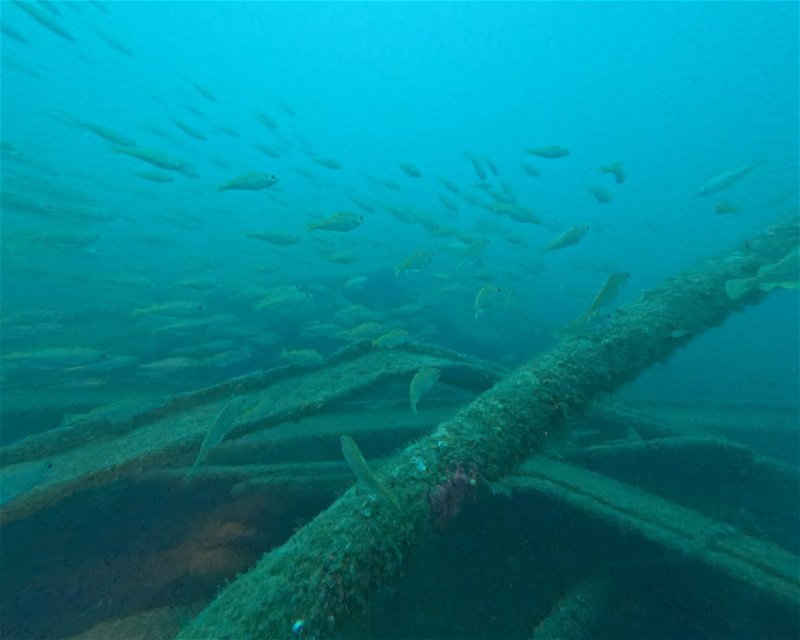 Divesite Image