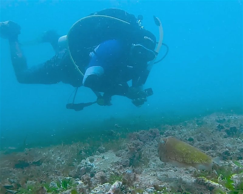 Divesite Image