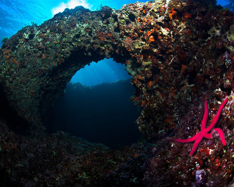 Divesite Image
