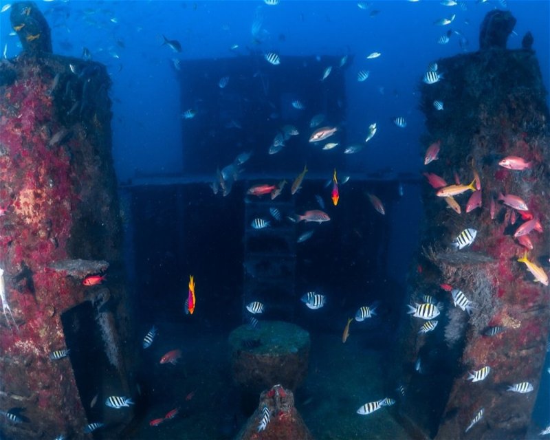 Divesite Image