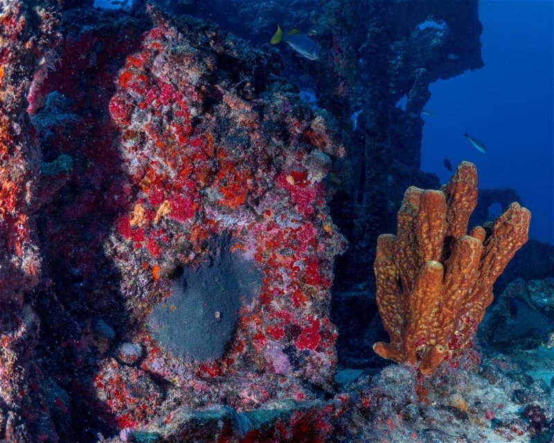 Divesite Image