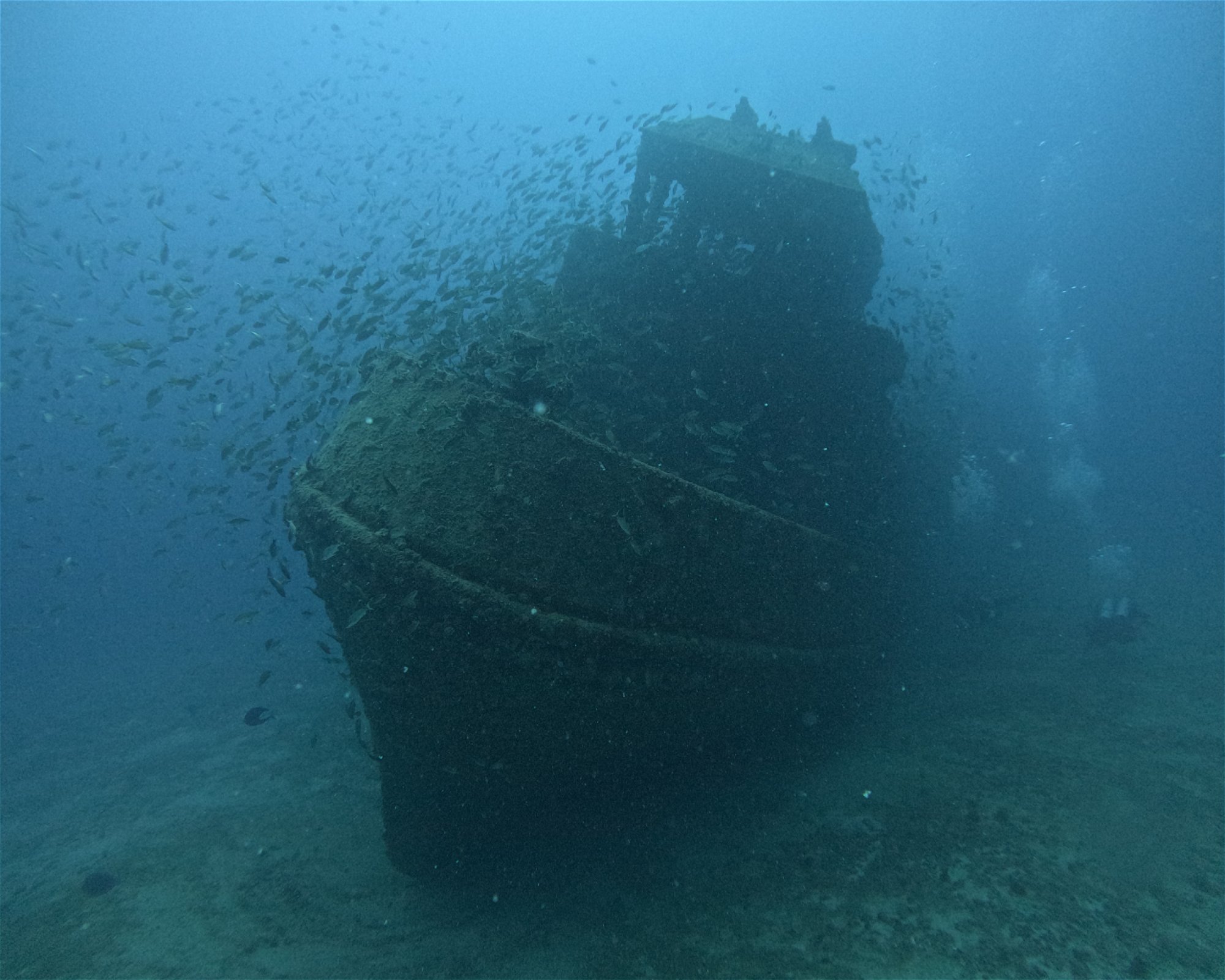 IN ACQUA BUCEO, 1651 BUENOIS AIRES