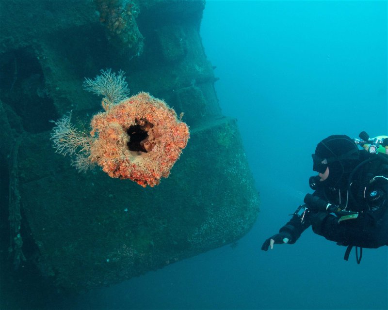 Divesite Image
