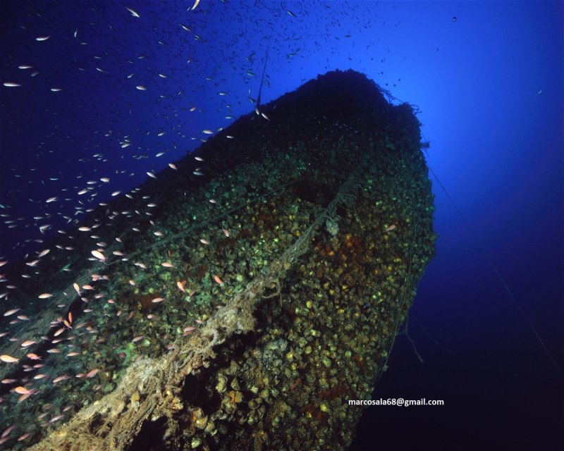 Divesite Image