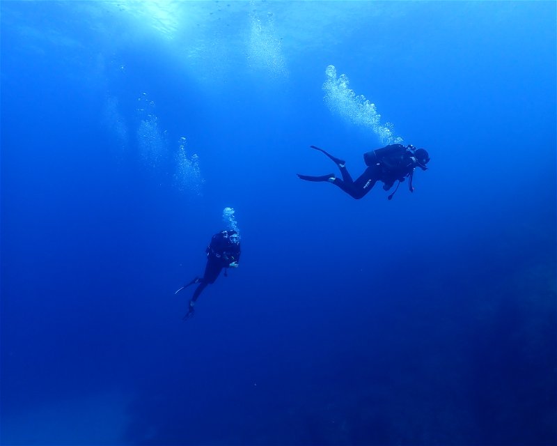 Divesite Image