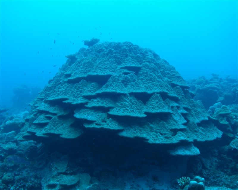 Divesite Image