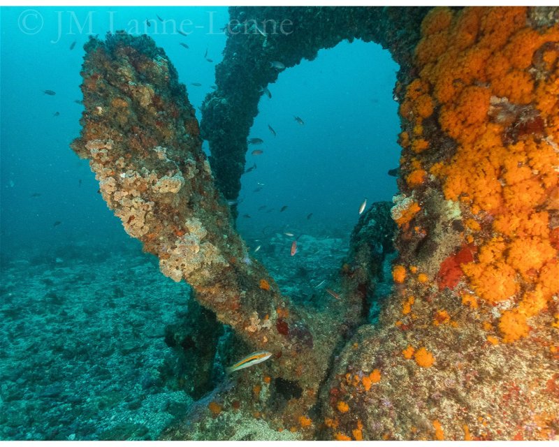 Divesite Image