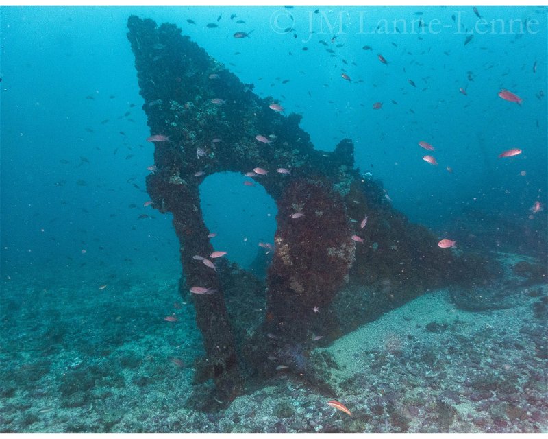 Divesite Image