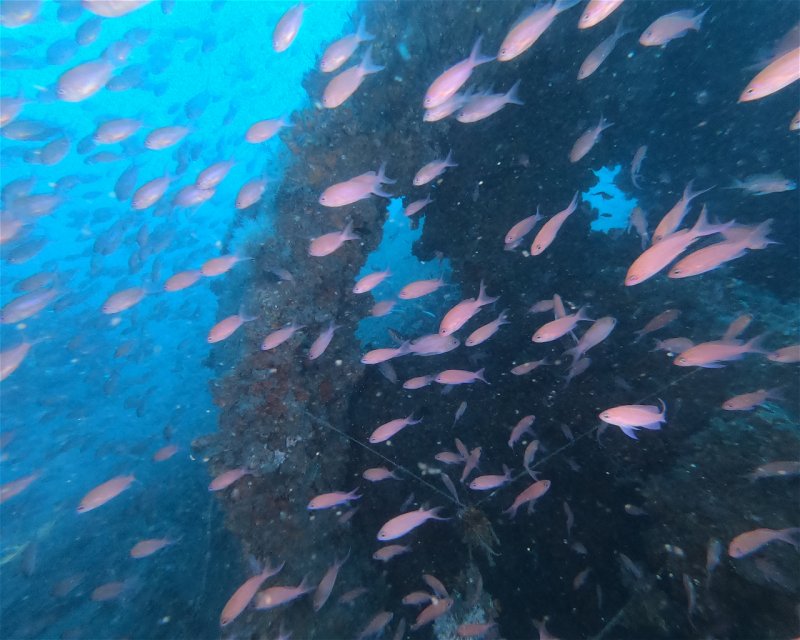Divesite Image